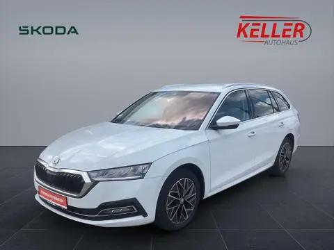 Used SKODA OCTAVIA Diesel 2023 Ad 