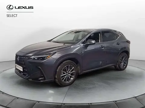 Annonce LEXUS NX Hybride 2022 d'occasion 