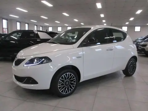 Annonce LANCIA YPSILON GPL 2024 d'occasion 