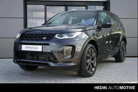 Used LAND ROVER DISCOVERY Hybrid 2024 Ad 