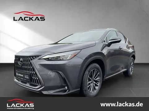 Annonce LEXUS NX Hybride 2024 d'occasion 