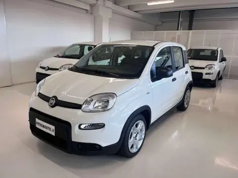 Annonce FIAT PANDA Hybride 2024 d'occasion 