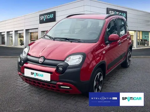 Annonce FIAT PANDA Essence 2023 d'occasion 