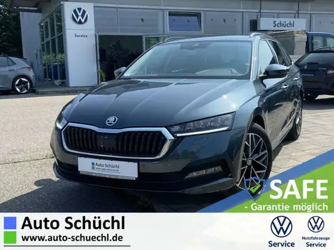 Used SKODA OCTAVIA Petrol 2021 Ad 