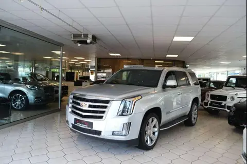 Used CADILLAC ESCALADE Petrol 2020 Ad 