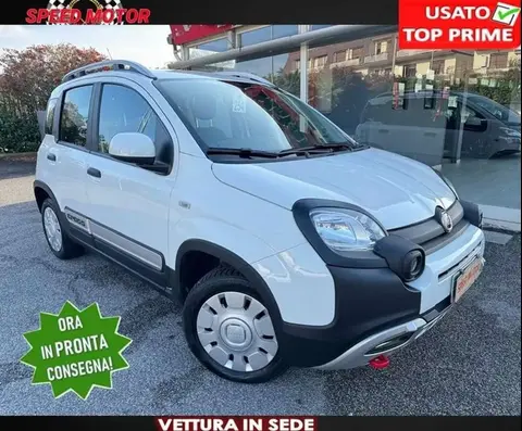 Used FIAT PANDA Hybrid 2020 Ad 