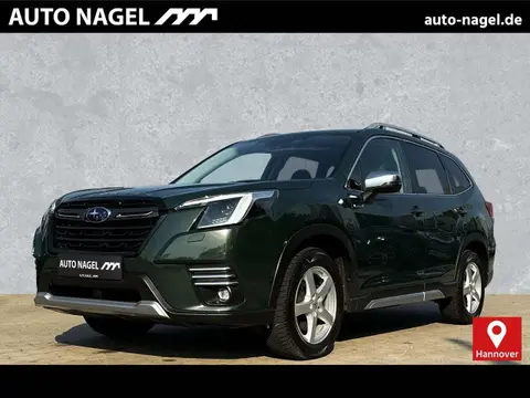 Used SUBARU FORESTER Petrol 2022 Ad 