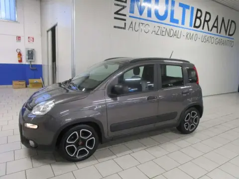 Annonce FIAT PANDA Hybride 2021 d'occasion 