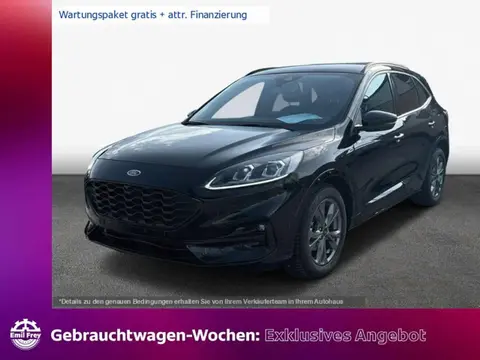 Used FORD KUGA Diesel 2023 Ad 