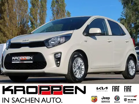 Annonce KIA PICANTO Essence 2023 d'occasion 