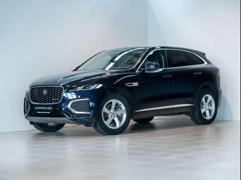 Annonce JAGUAR F-PACE Hybride 2023 d'occasion 