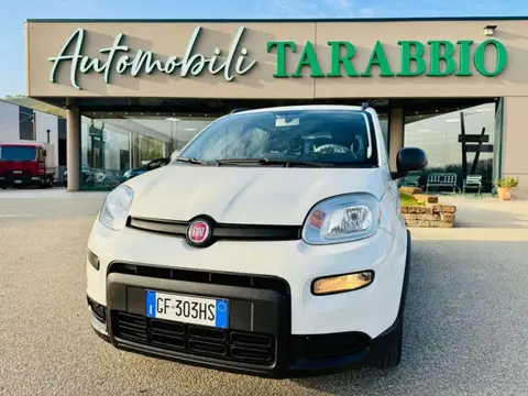 Used FIAT PANDA Hybrid 2022 Ad 