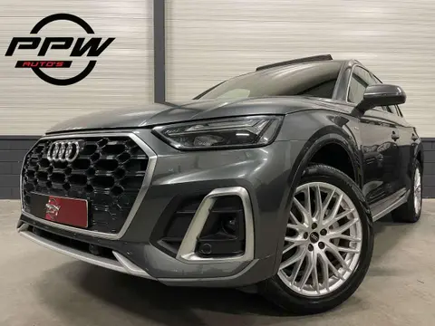 Used AUDI Q5 Hybrid 2021 Ad 