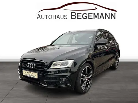 Used AUDI SQ5 Diesel 2016 Ad 