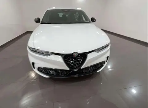 Annonce ALFA ROMEO TONALE Diesel 2024 d'occasion 