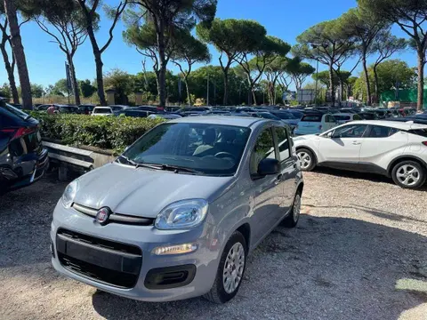 Used FIAT PANDA Hybrid 2022 Ad 