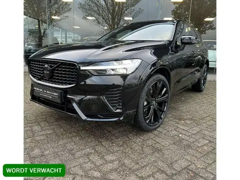 Annonce VOLVO XC60 Hybride 2024 d'occasion 