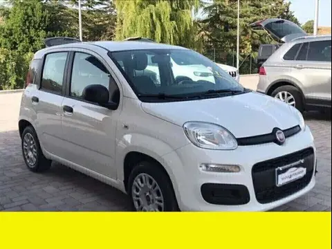 Annonce FIAT PANDA Essence 2018 d'occasion 