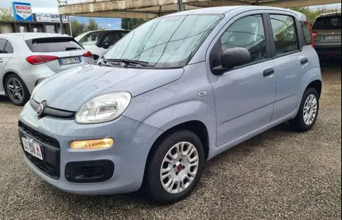 Annonce FIAT PANDA Essence 2020 d'occasion 