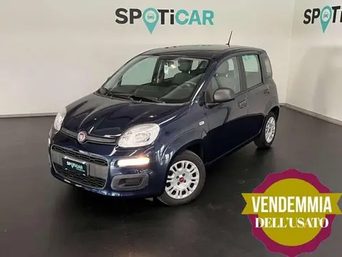 Annonce FIAT PANDA Hybride 2021 d'occasion 