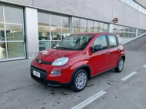 Annonce FIAT PANDA Hybride 2024 d'occasion 