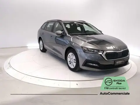 Used SKODA OCTAVIA Diesel 2023 Ad 