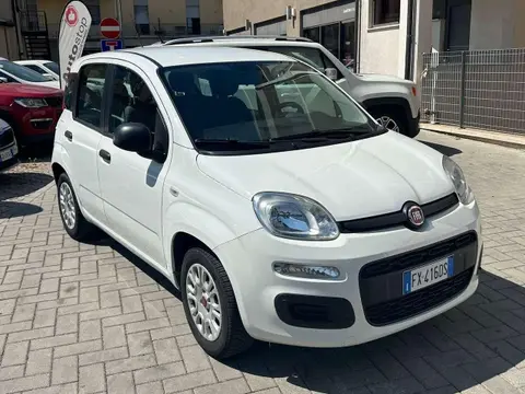 Used FIAT PANDA Petrol 2019 Ad 