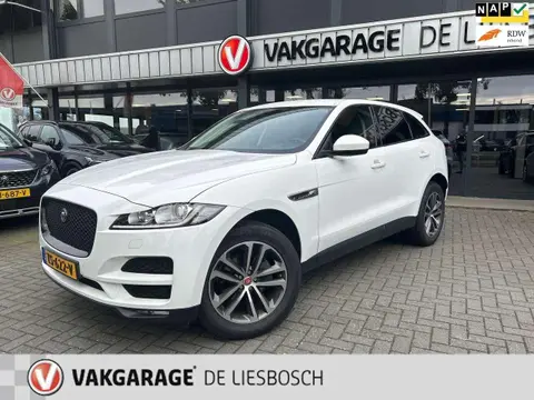 Annonce JAGUAR F-PACE Essence 2017 d'occasion 