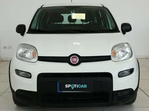 Used FIAT PANDA Hybrid 2022 Ad 