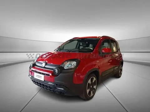 Used FIAT PANDA Hybrid 2024 Ad 