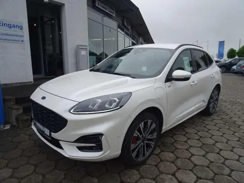 Annonce FORD KUGA Hybride 2023 d'occasion 