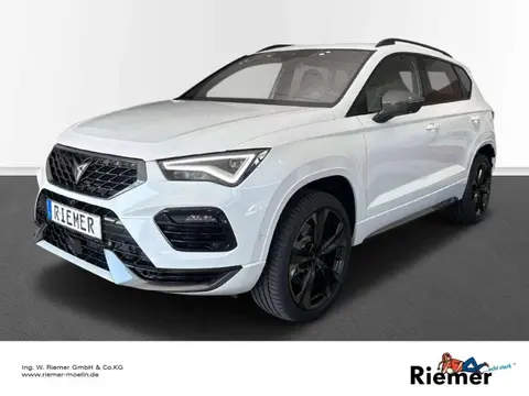 Used CUPRA ATECA Petrol 2024 Ad 