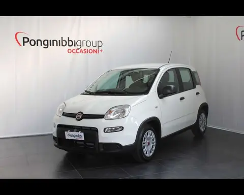 Annonce FIAT PANDA Hybride 2024 d'occasion 