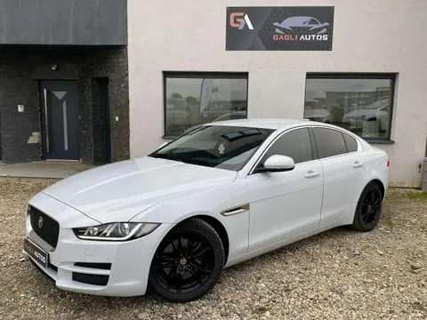 Used JAGUAR XE Diesel 2017 Ad 