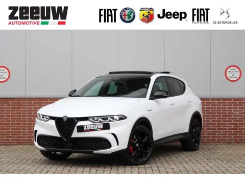 Used ALFA ROMEO TONALE Hybrid 2023 Ad 