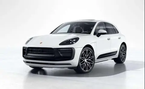 Used PORSCHE MACAN Petrol 2024 Ad 