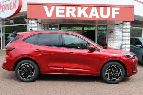 Annonce FORD KUGA Essence 2024 d'occasion 