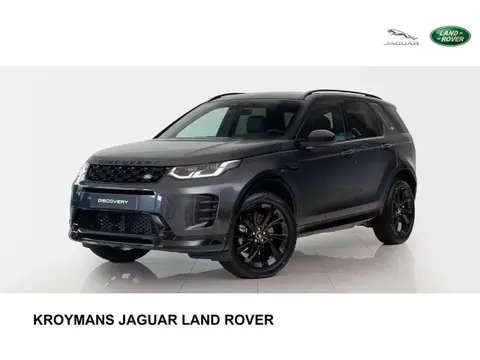 Annonce LAND ROVER DISCOVERY Hybride 2024 d'occasion 