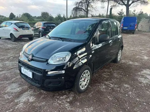 Annonce FIAT PANDA Essence 2019 d'occasion 