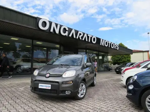 Annonce FIAT PANDA Hybride 2023 d'occasion 