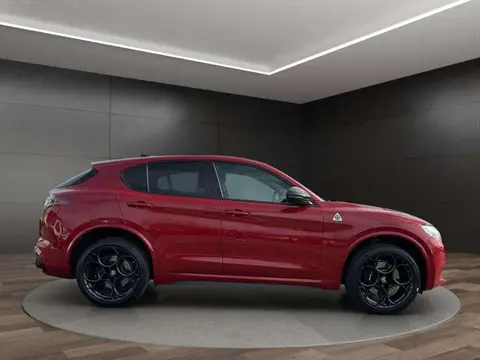 Used ALFA ROMEO STELVIO Petrol 2021 Ad 