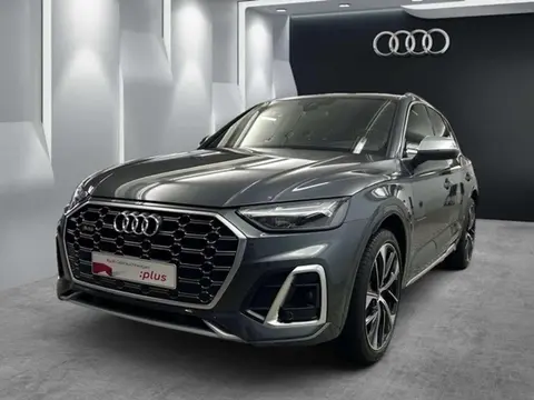 Annonce AUDI SQ5 Diesel 2024 d'occasion 