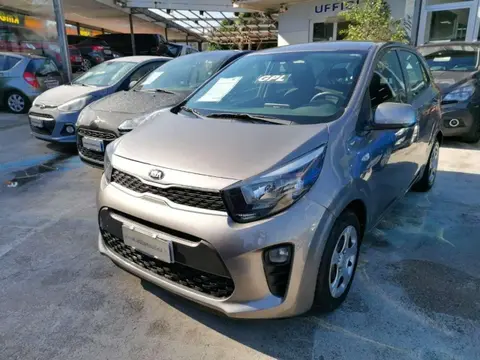 Annonce KIA PICANTO GPL 2019 d'occasion 