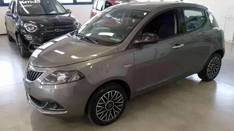 Used LANCIA YPSILON LPG 2024 Ad 