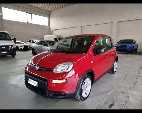 Used FIAT PANDA Hybrid 2024 Ad 