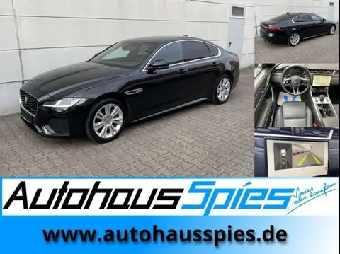 Used JAGUAR XF Diesel 2023 Ad 