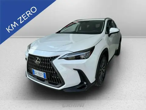 Used LEXUS NX Hybrid 2024 Ad 