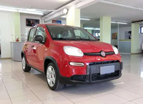 Used FIAT PANDA Hybrid 2024 Ad Italy