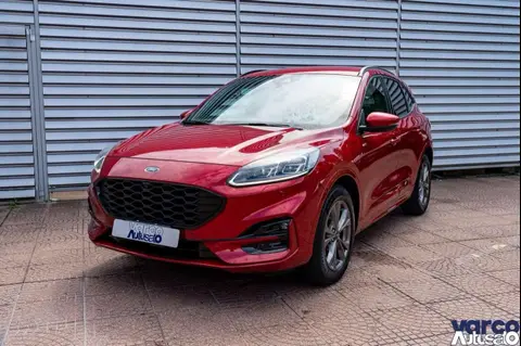 Used FORD KUGA Petrol 2020 Ad 