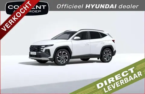 Annonce HYUNDAI TUCSON Hybride 2024 d'occasion 